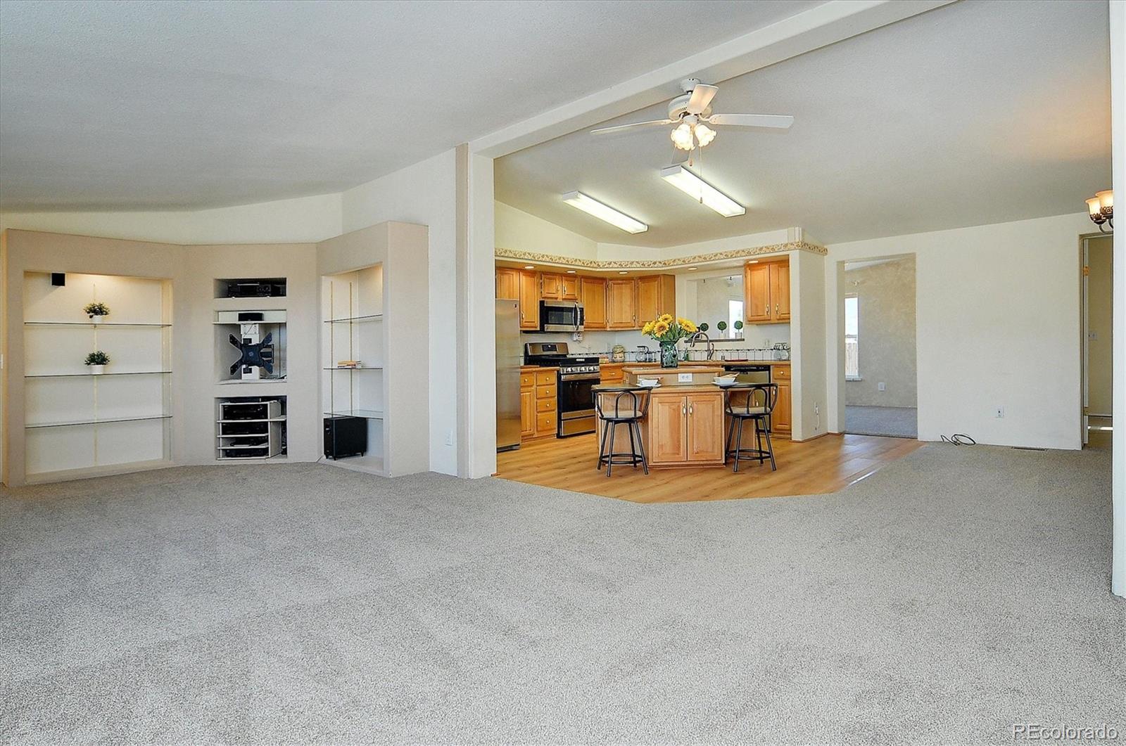 16370 County Road 356-12 Buena Vista CO 81211