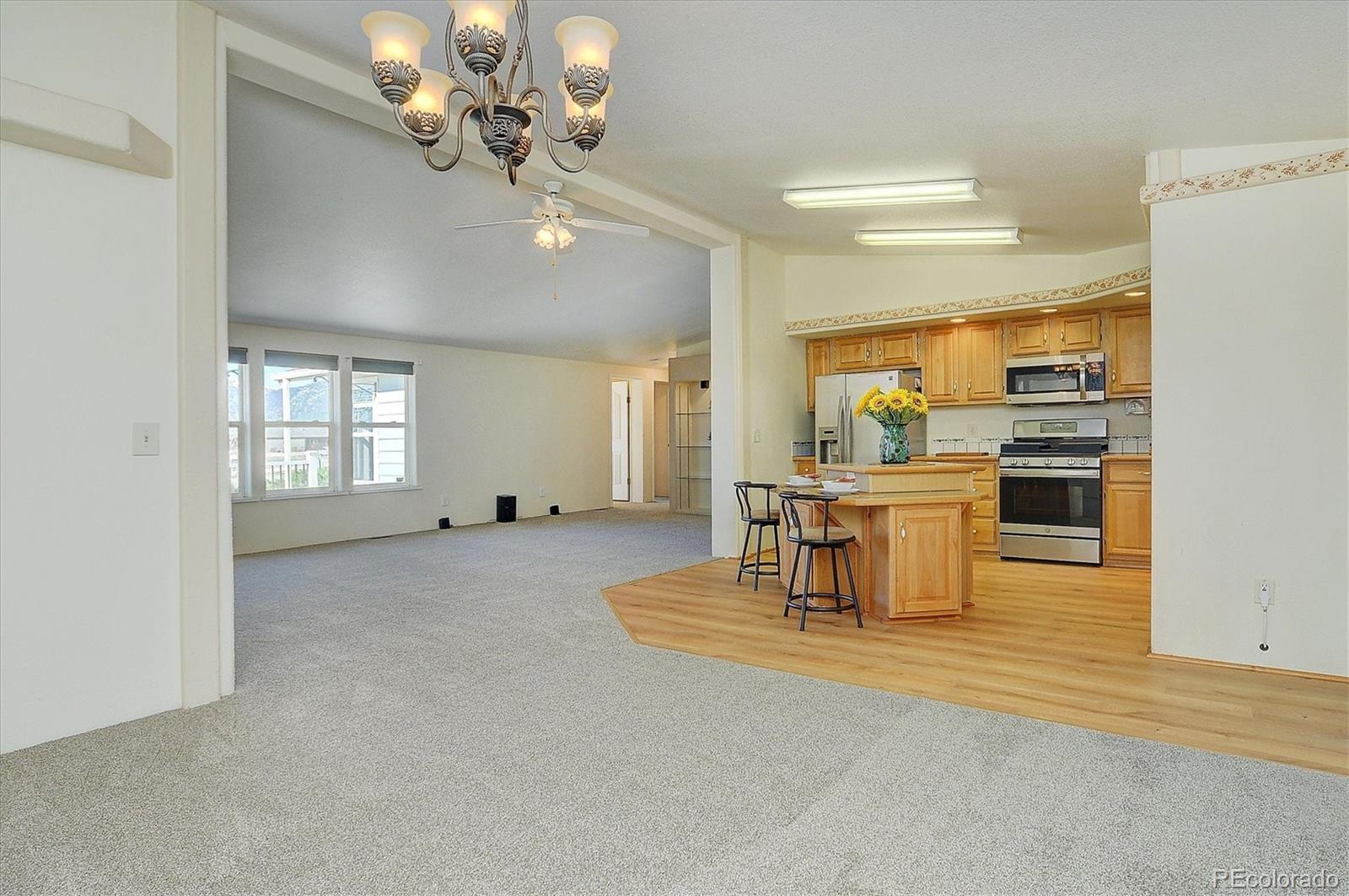 16370 County Road 356-12 Buena Vista CO 81211
