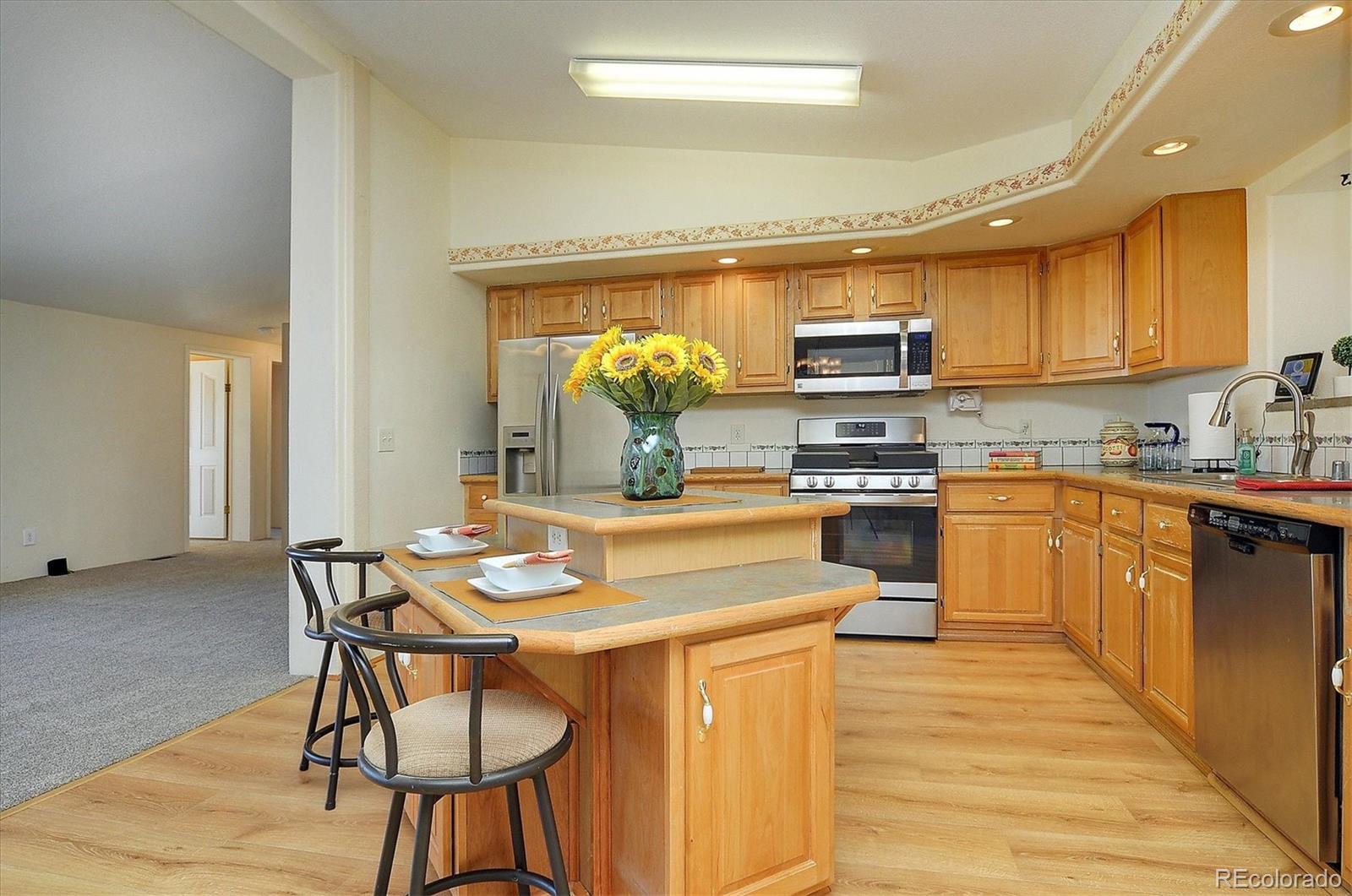 16370 County Road 356-12 Buena Vista CO 81211