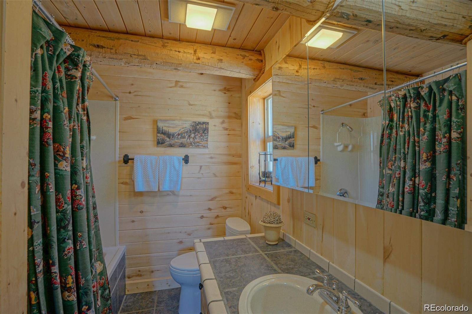 236 Mill Run Road Mosca CO 81146