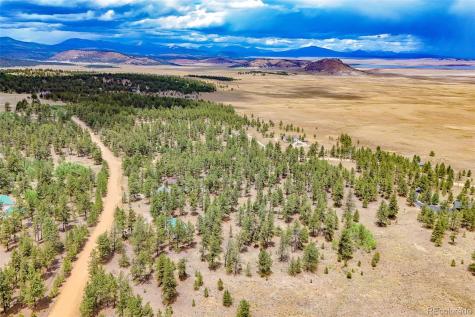 436 Hayhook Way Hartsel CO 80449