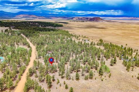 436 Hayhook Way Hartsel CO 80449