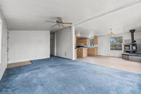 436 Hayhook Way Hartsel CO 80449