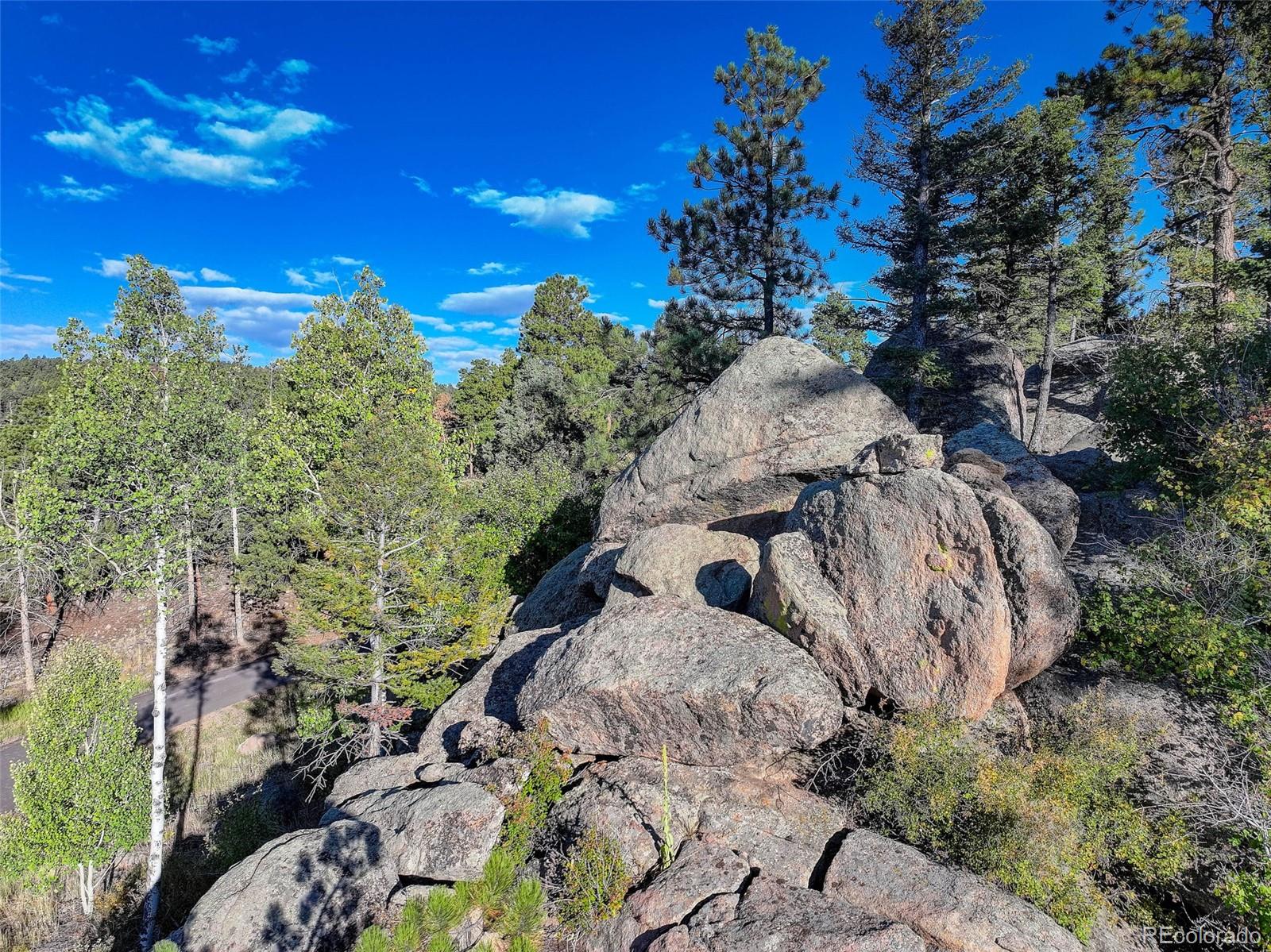 23047 Big Game Trail Conifer CO 80433