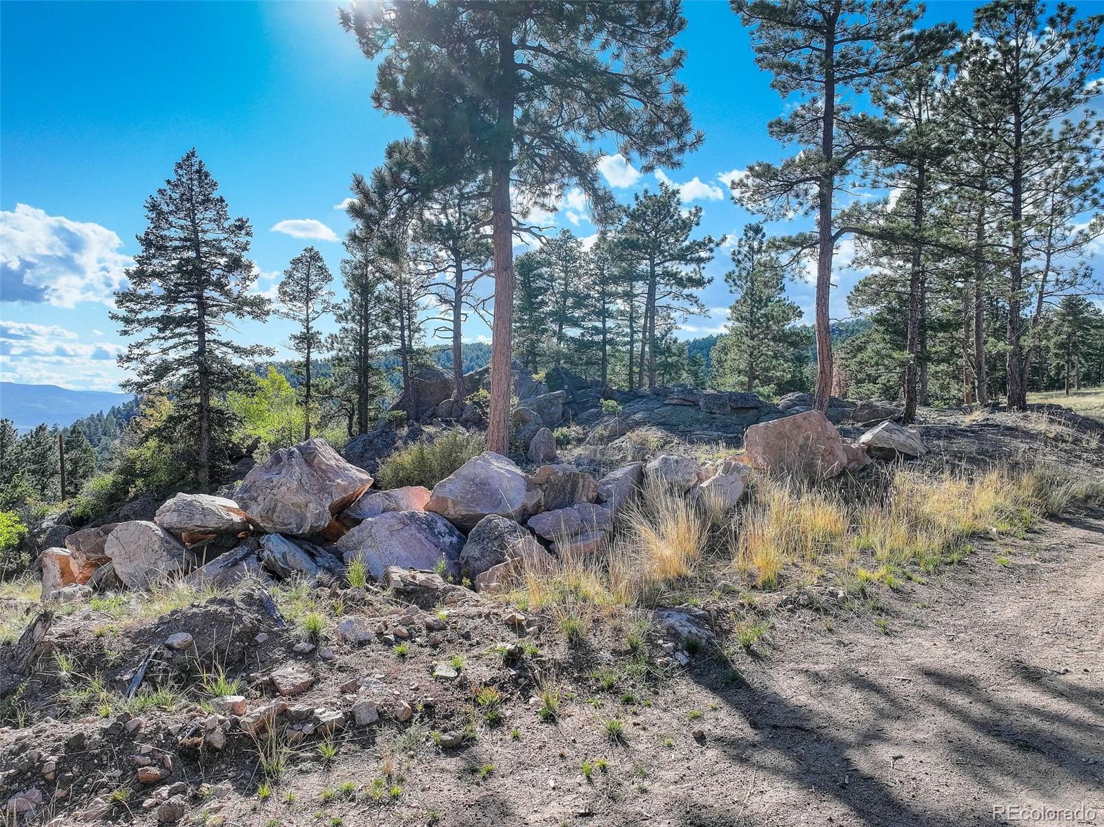 23047 Big Game Trail Conifer CO 80433
