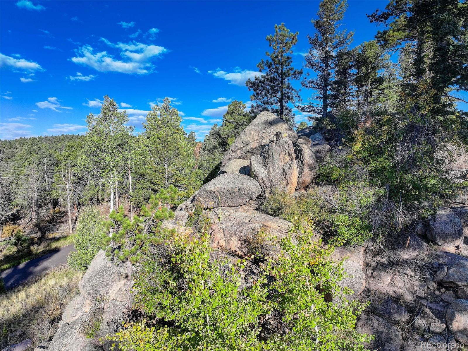 23047 Big Game Trail Conifer CO 80433