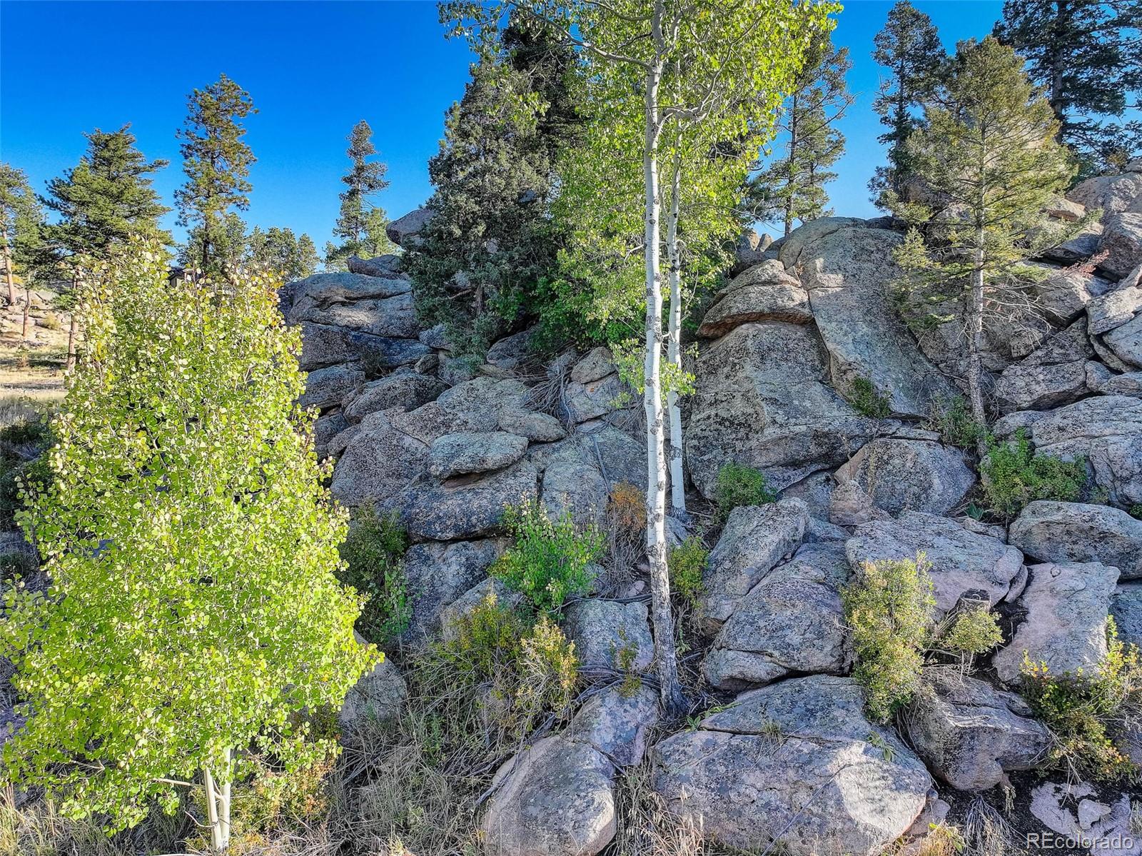 23047 Big Game Trail Conifer CO 80433