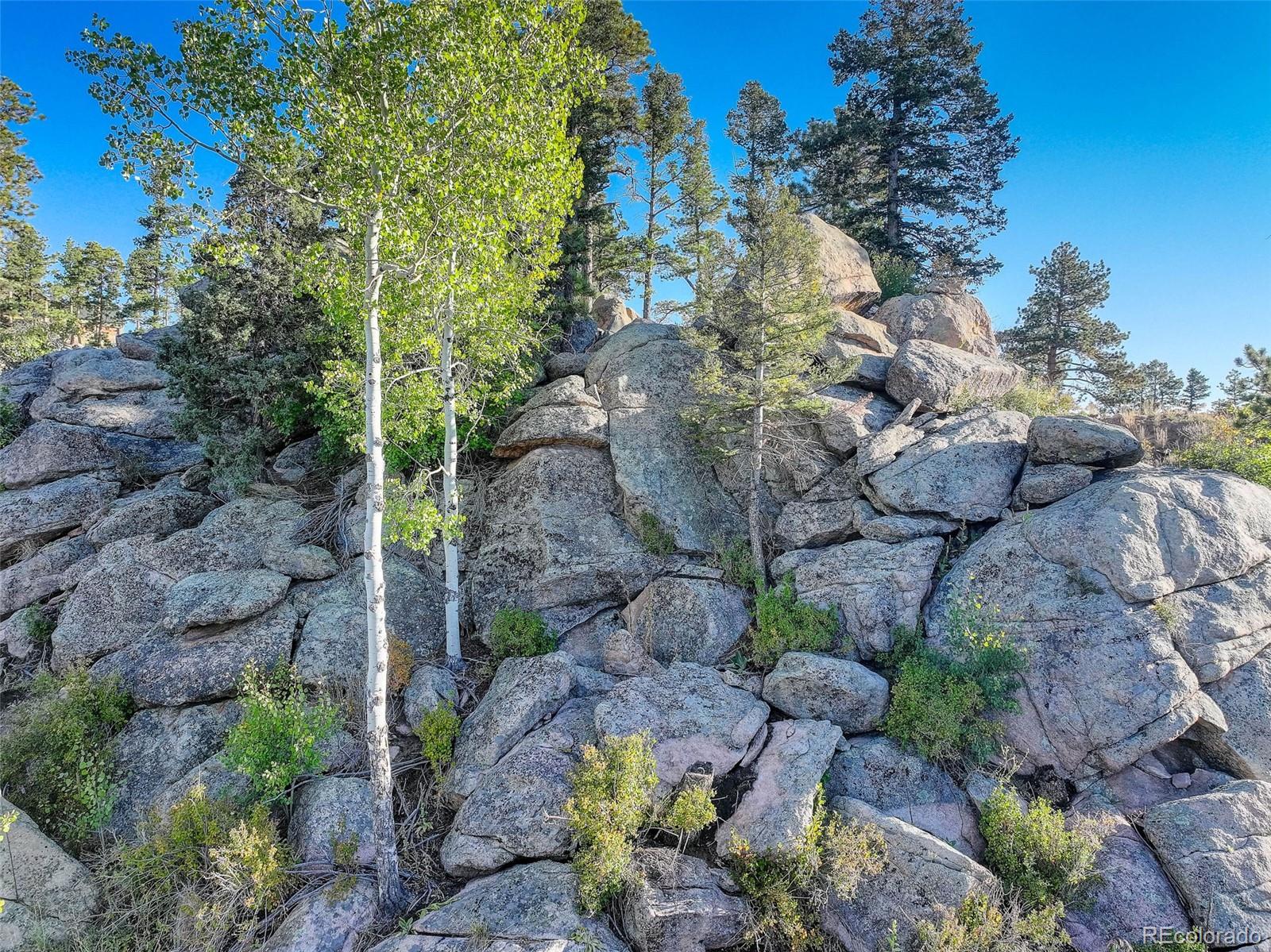 23047 Big Game Trail Conifer CO 80433