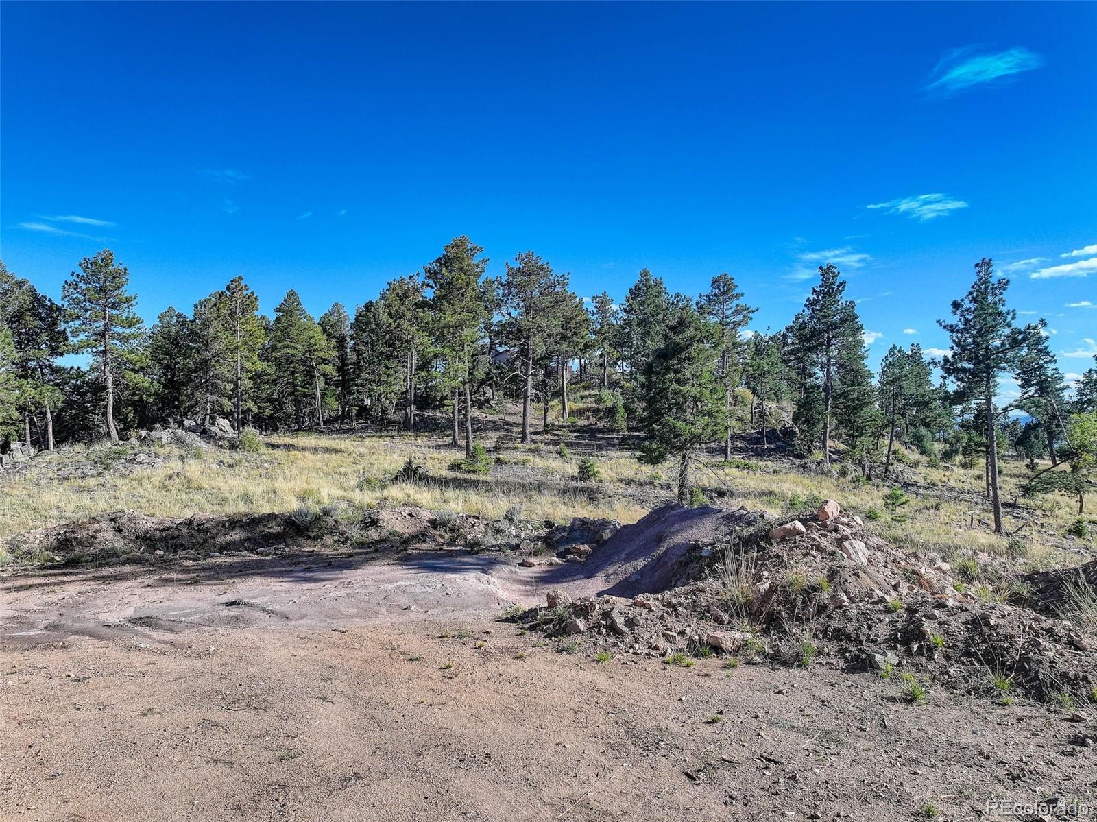 23047 Big Game Trail Conifer CO 80433