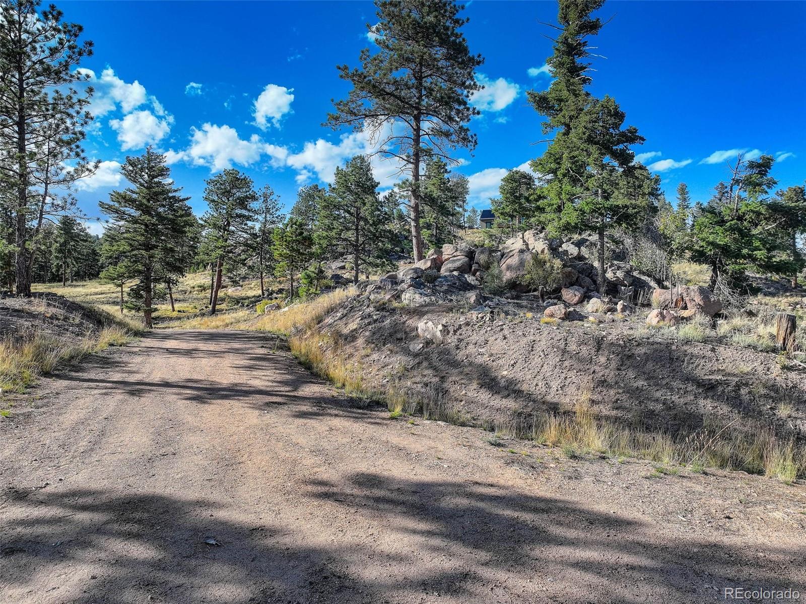 23047 Big Game Trail Conifer CO 80433