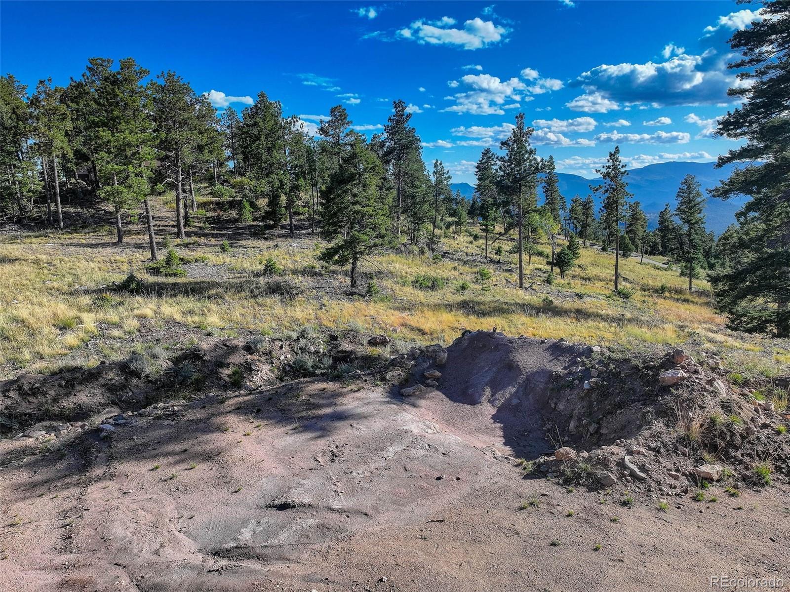 23047 Big Game Trail Conifer CO 80433