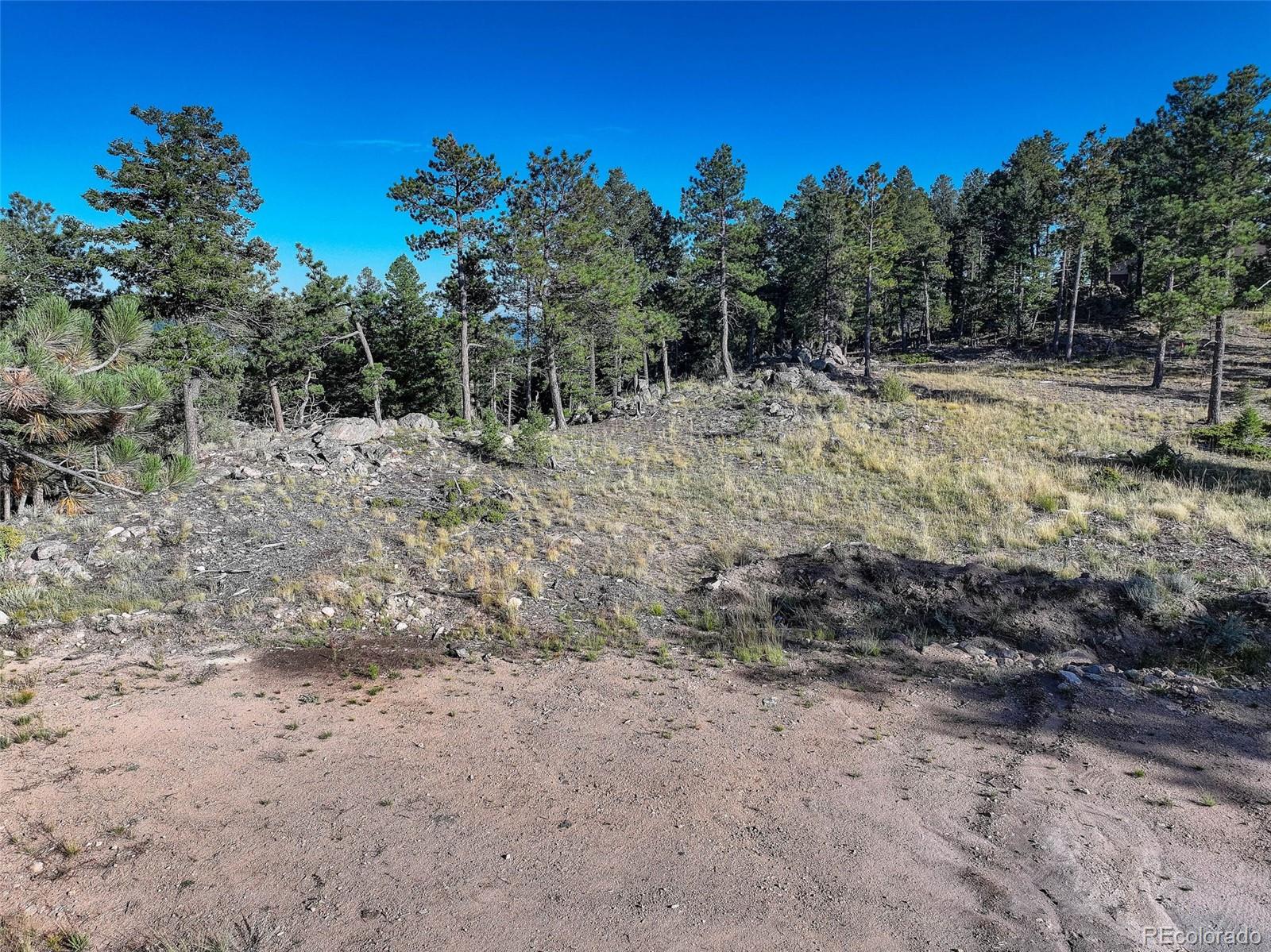 23047 Big Game Trail Conifer CO 80433