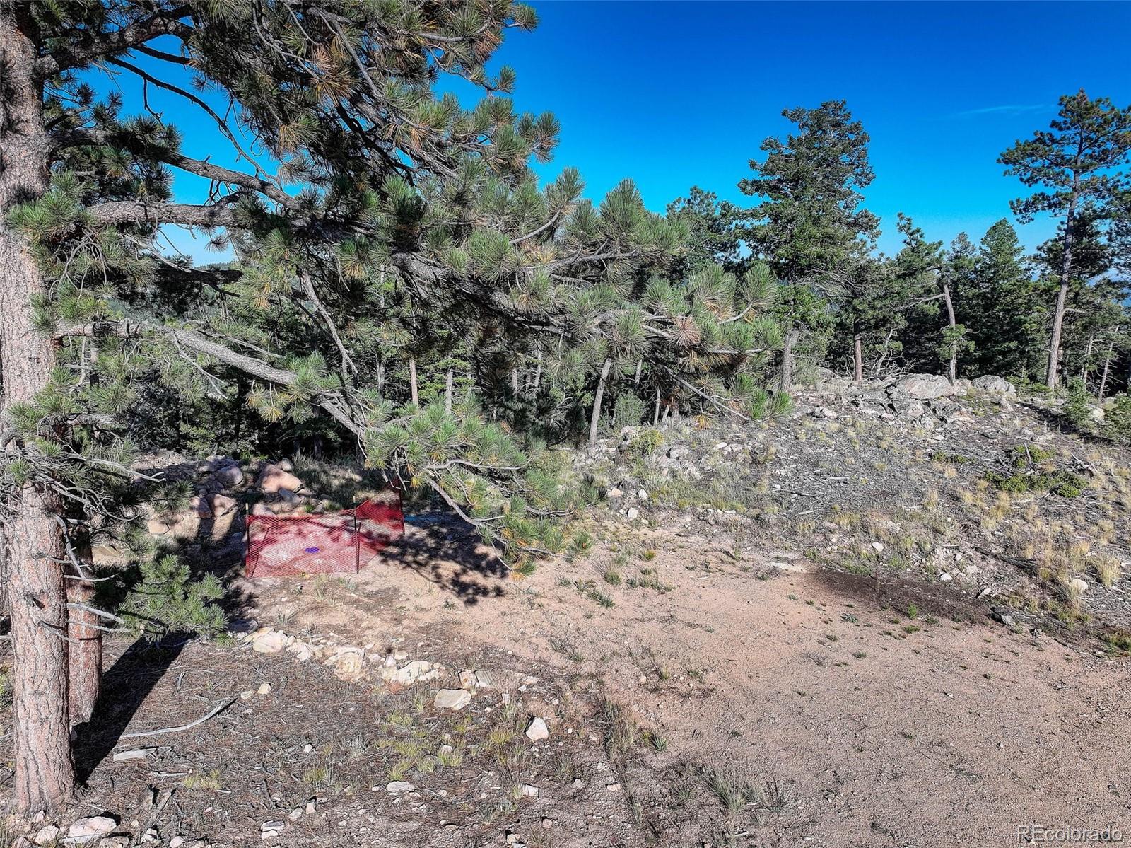 23047 Big Game Trail Conifer CO 80433
