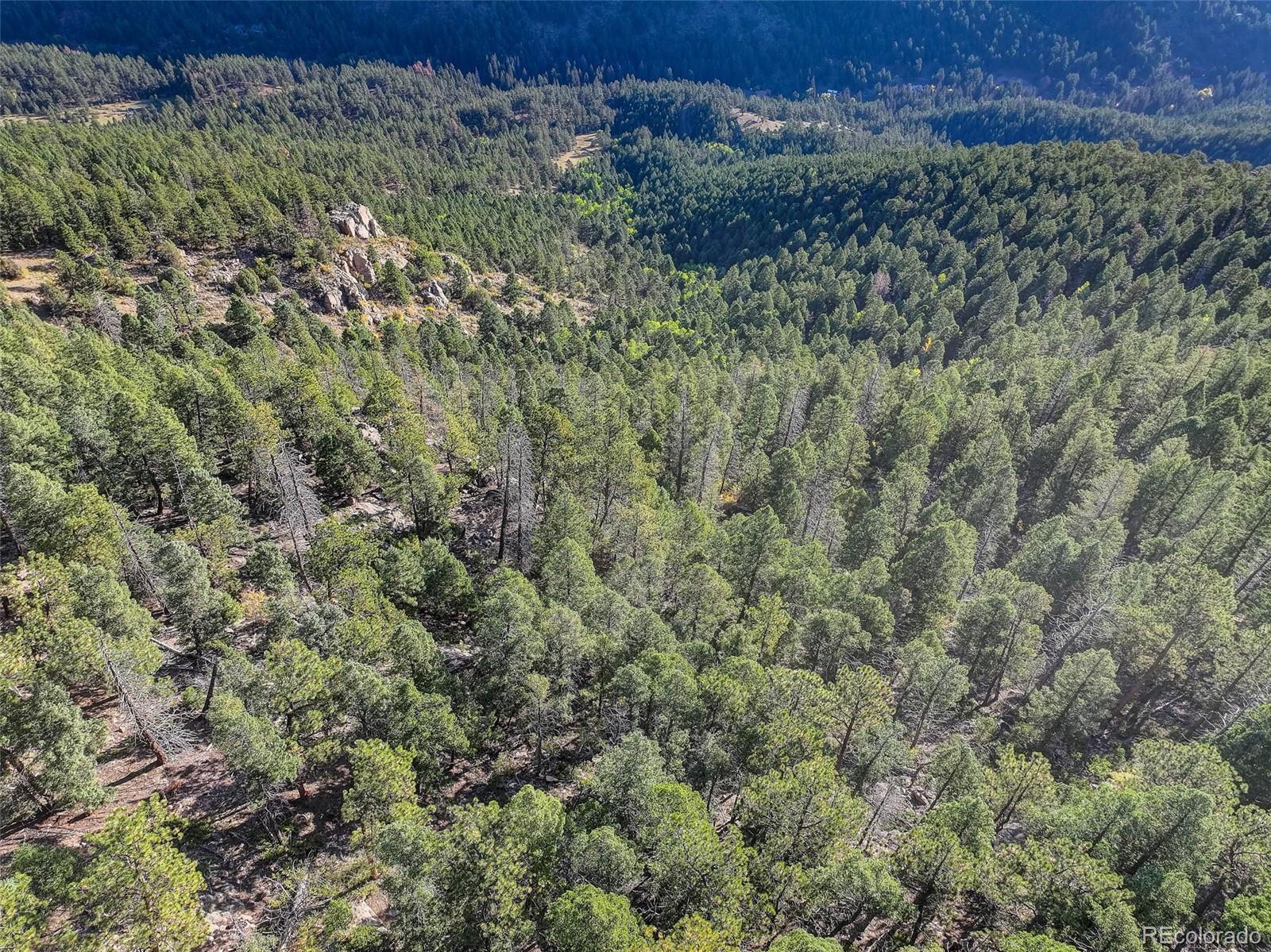 23047 Big Game Trail Conifer CO 80433
