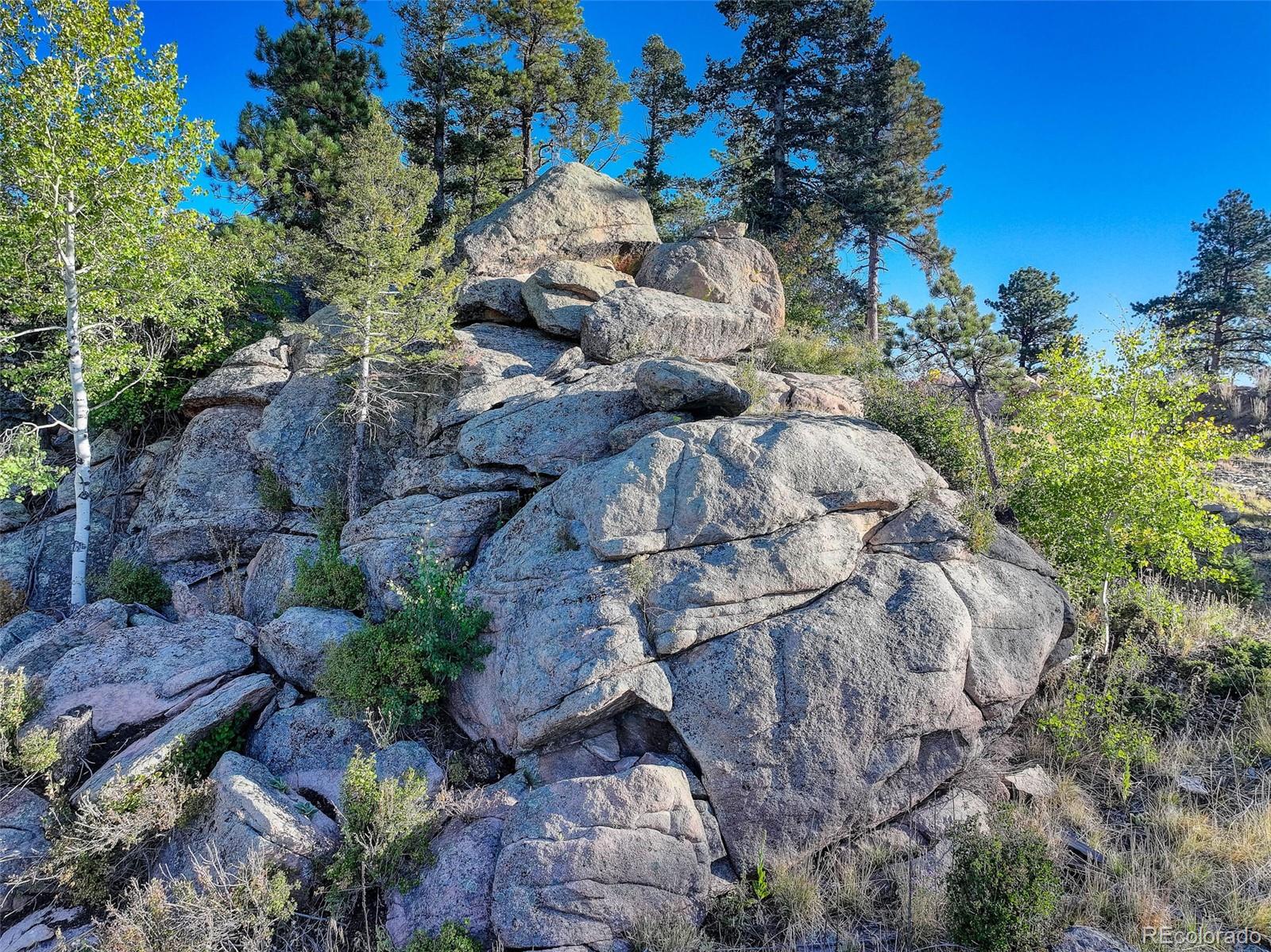 23047 Big Game Trail Conifer CO 80433