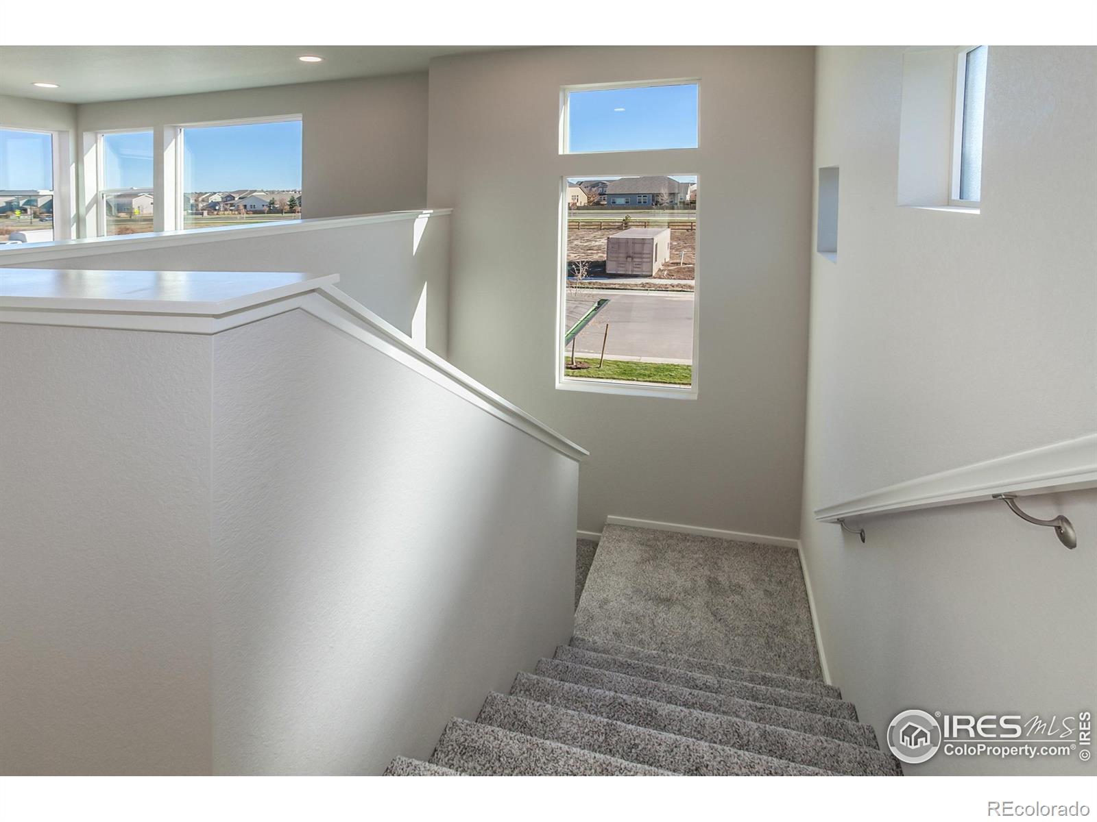 5409 Yancy Street Timnath CO 80547