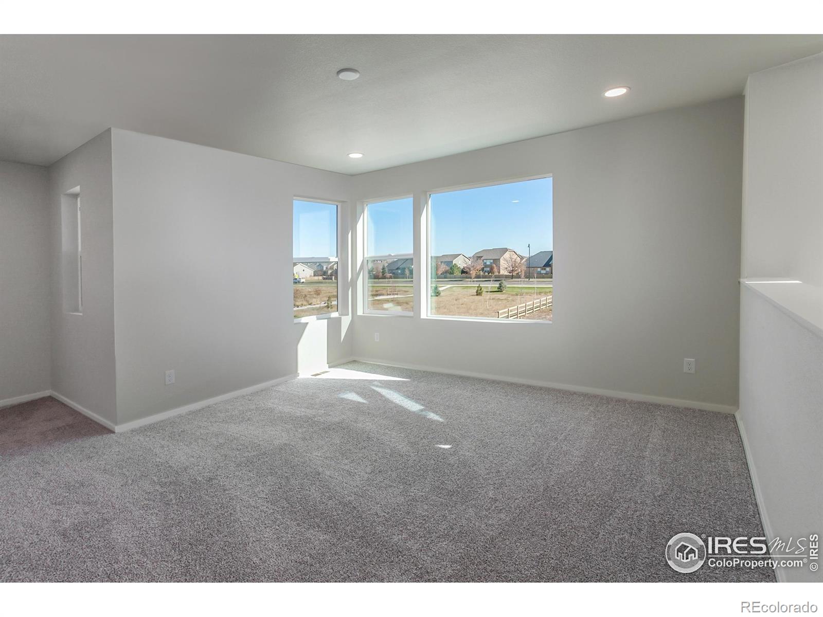 5409 Yancy Street Timnath CO 80547