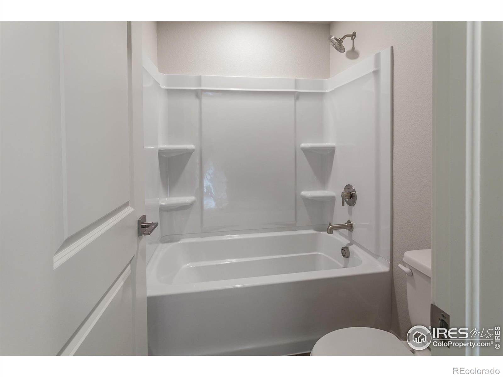 5409 Yancy Street Timnath CO 80547