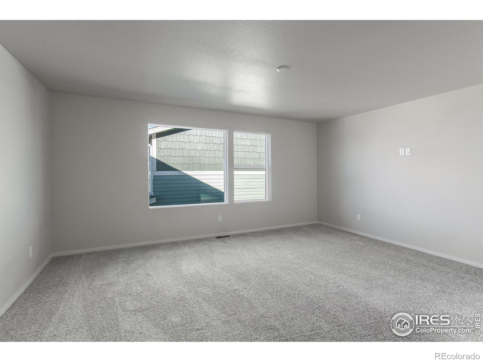 5409 Yancy Street Timnath CO 80547