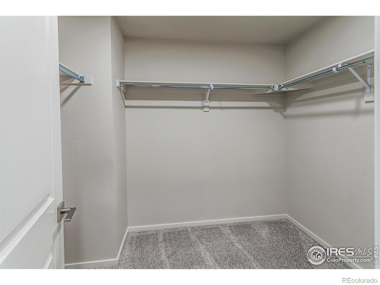 5409 Yancy Street Timnath CO 80547