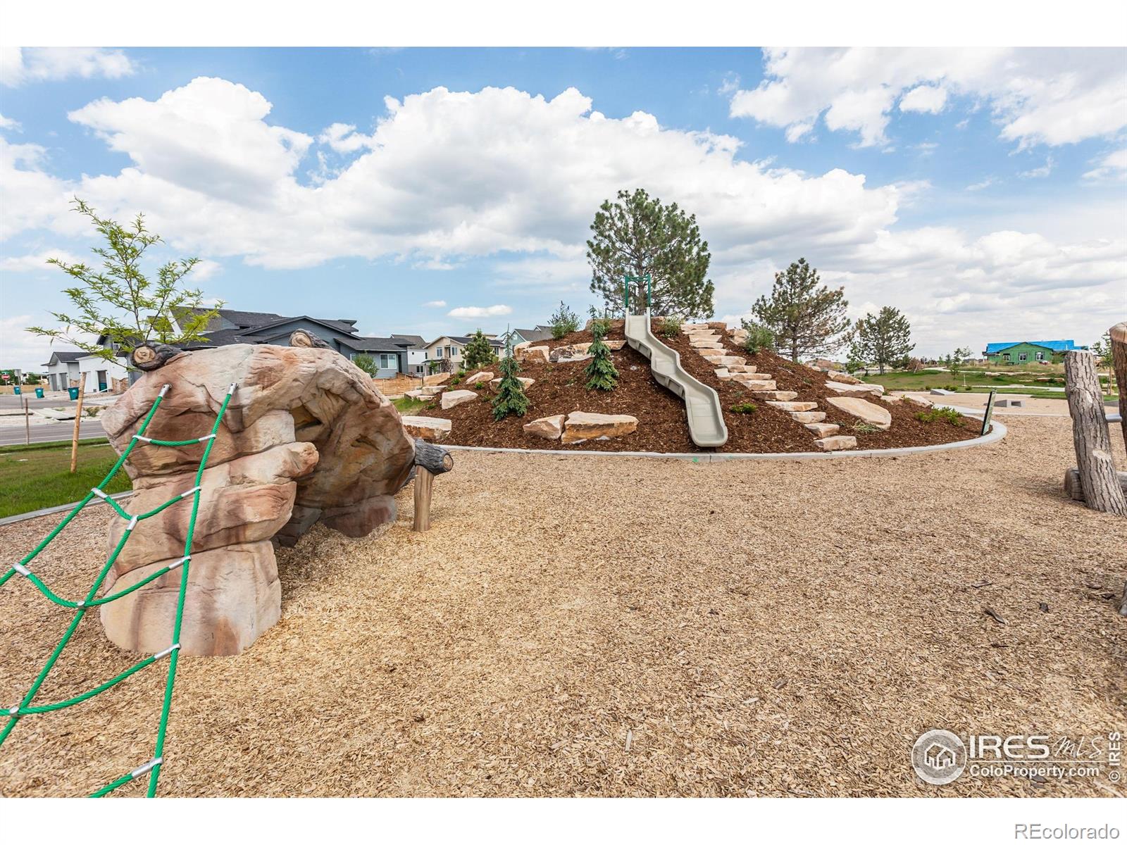 5409 Yancy Street Timnath CO 80547