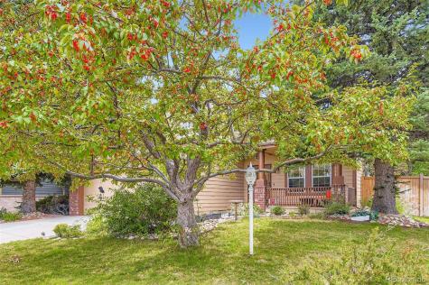 15904 Stonebriar Drive Parker CO 80134