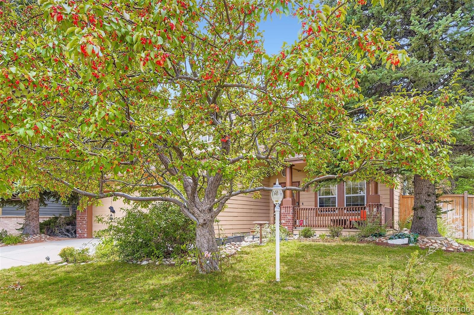 15904 Stonebriar Drive Parker CO 80134
