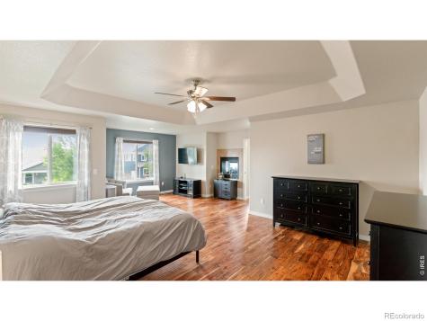 633 Shoshone Court Windsor CO 80550