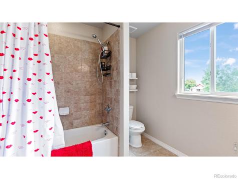 633 Shoshone Court Windsor CO 80550