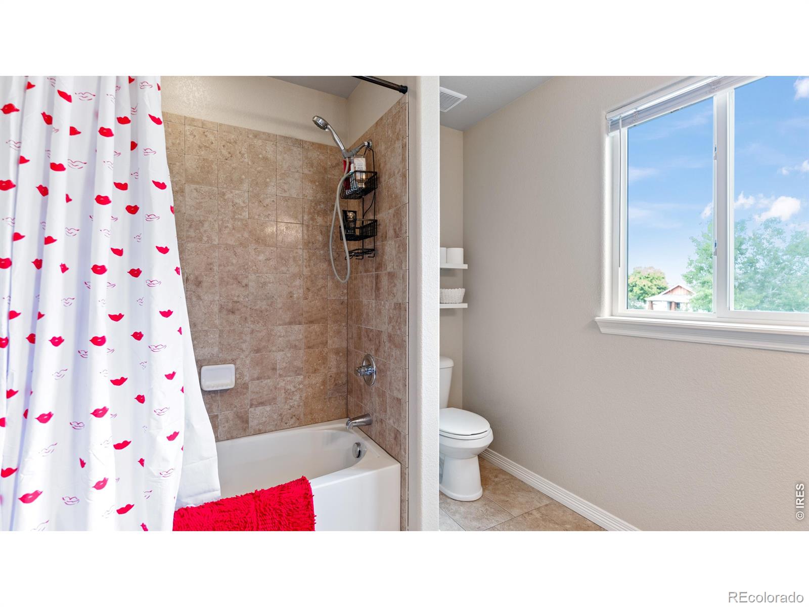 633 Shoshone Court Windsor CO 80550