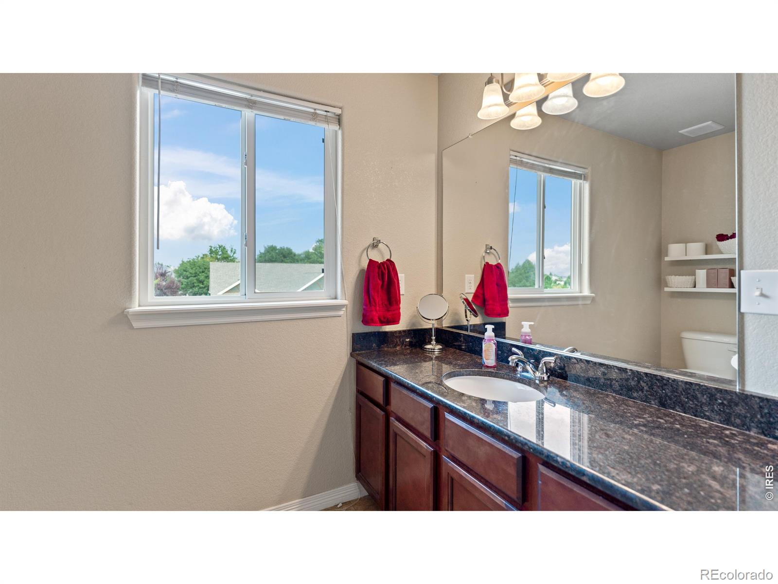 633 Shoshone Court Windsor CO 80550