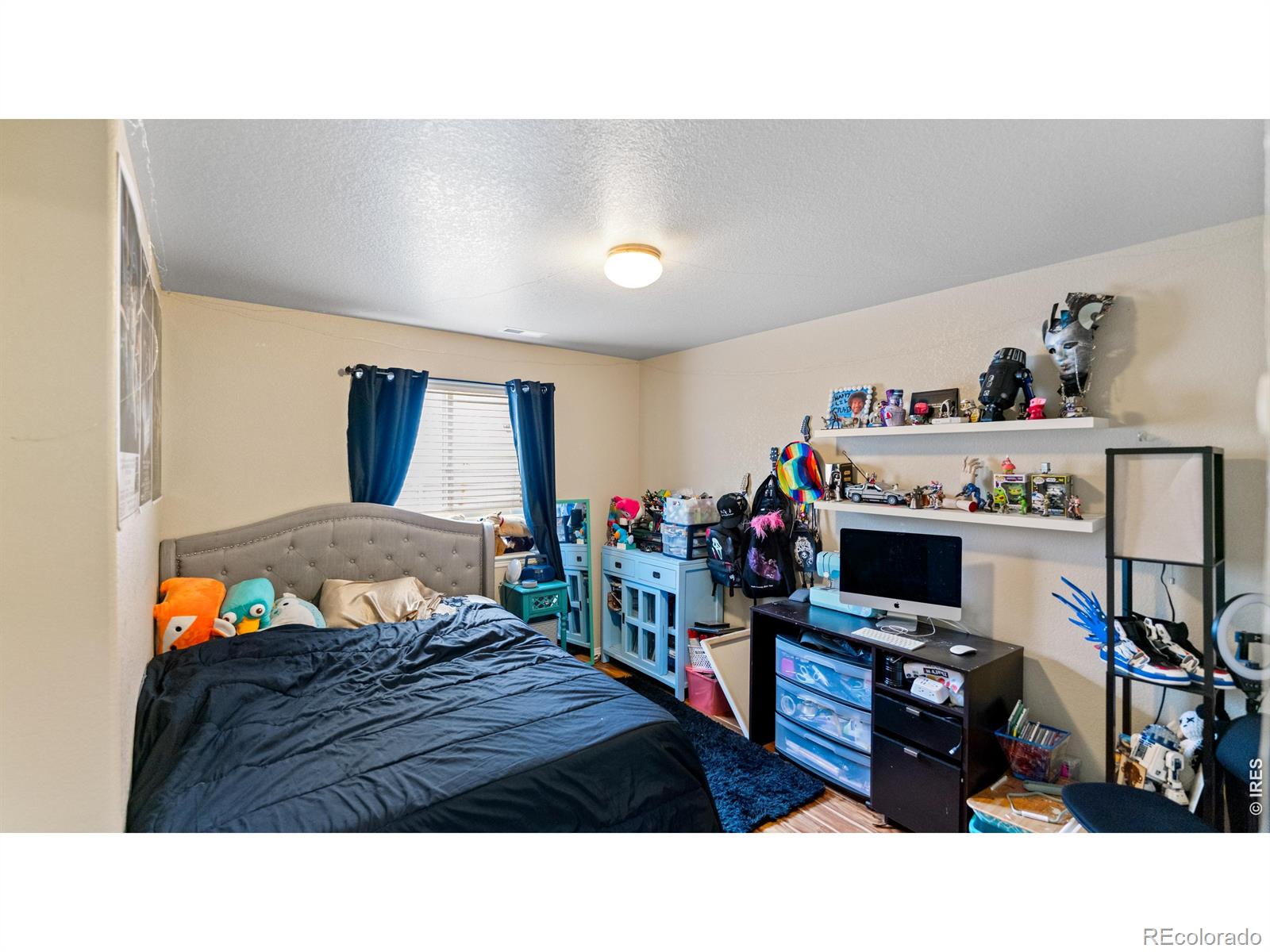 633 Shoshone Court Windsor CO 80550