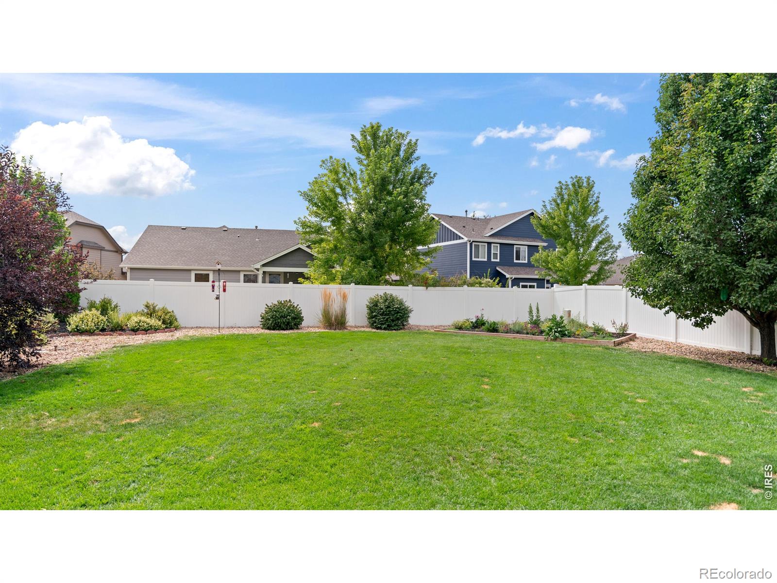 633 Shoshone Court Windsor CO 80550
