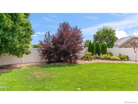 633 Shoshone Court Windsor CO 80550