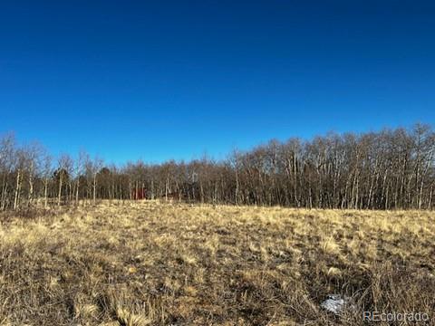 3538 High Creek Road Fairplay CO 80440