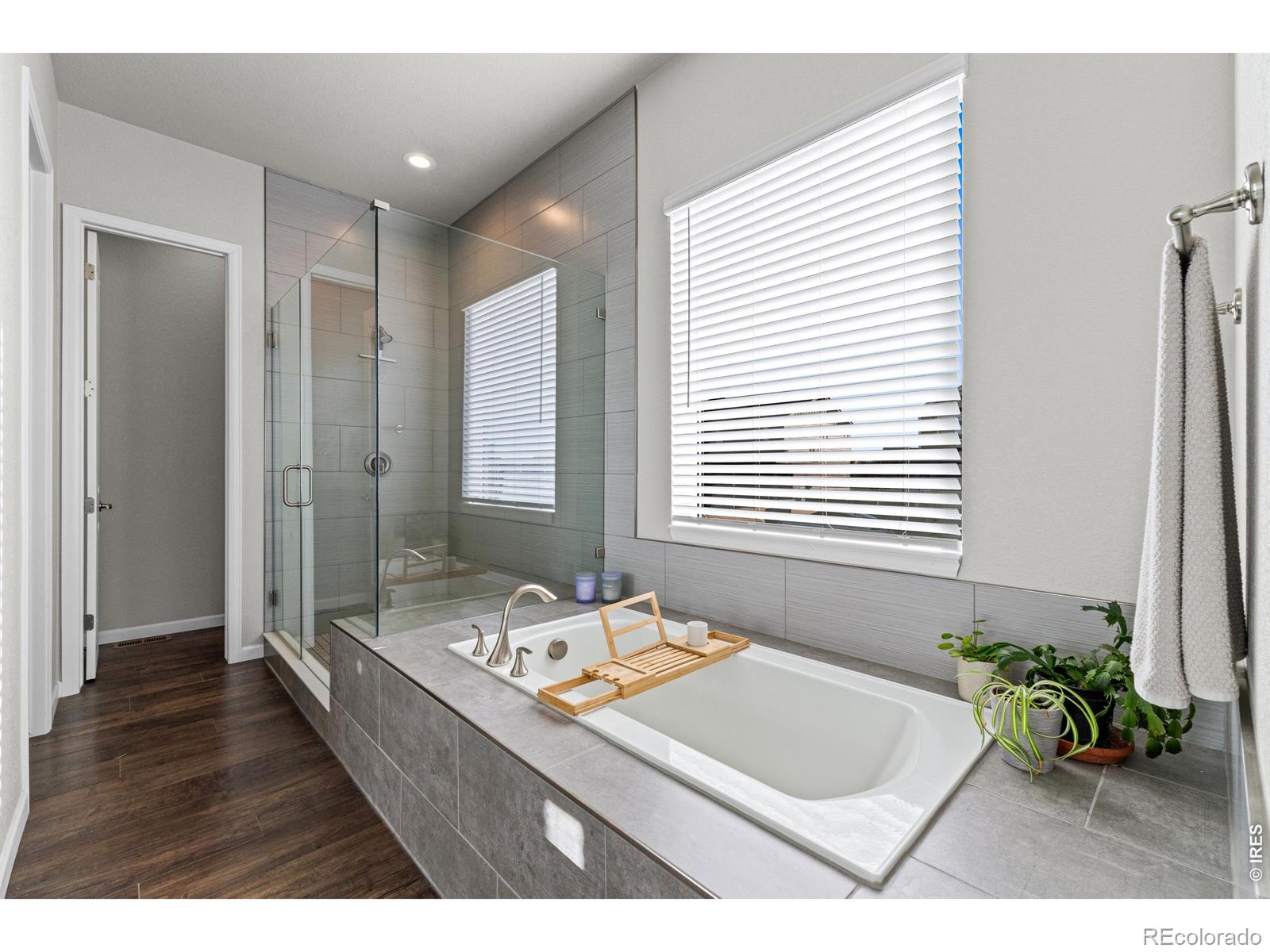 295 Redmond Drive Windsor CO 80550