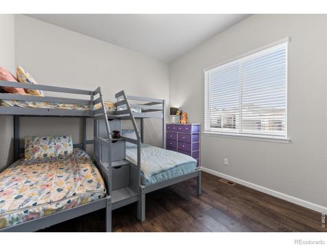 295 Redmond Drive Windsor CO 80550