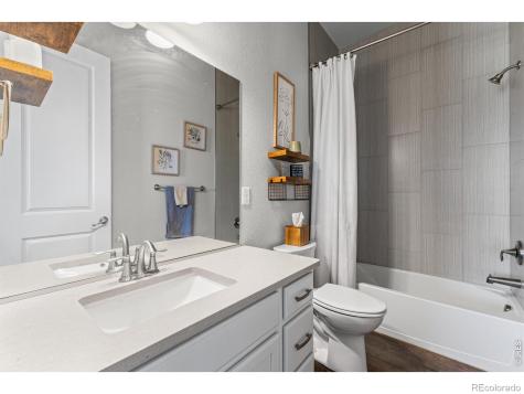 295 Redmond Drive Windsor CO 80550