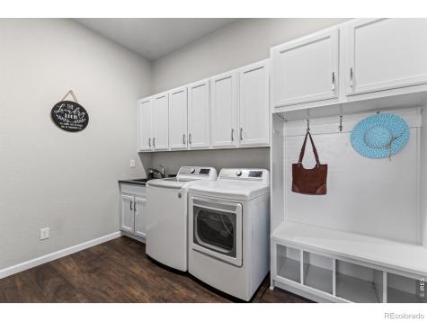 295 Redmond Drive Windsor CO 80550