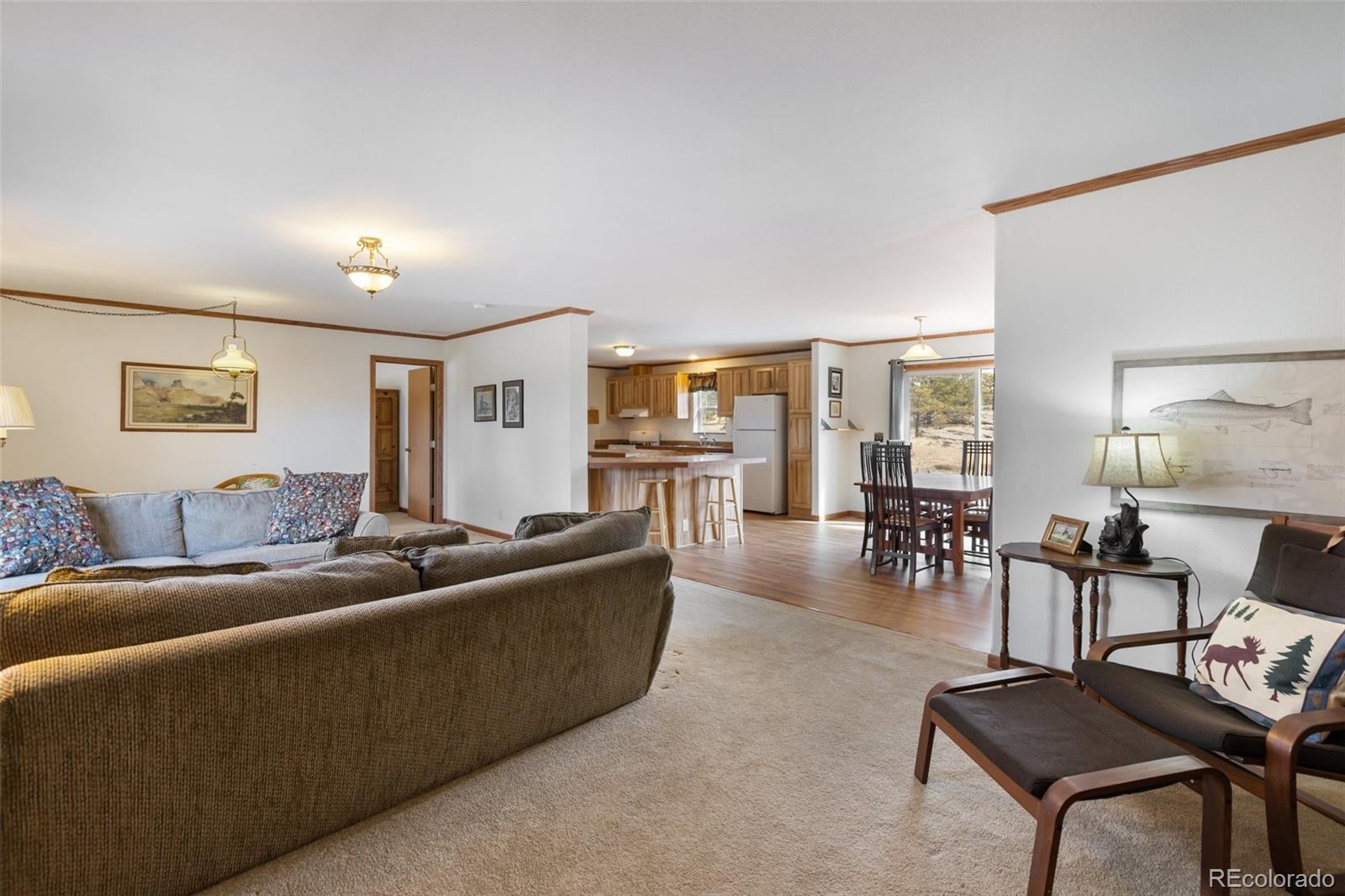 109 Pawnee Place Florissant CO 80816