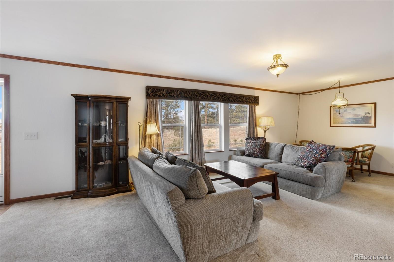 109 Pawnee Place Florissant CO 80816