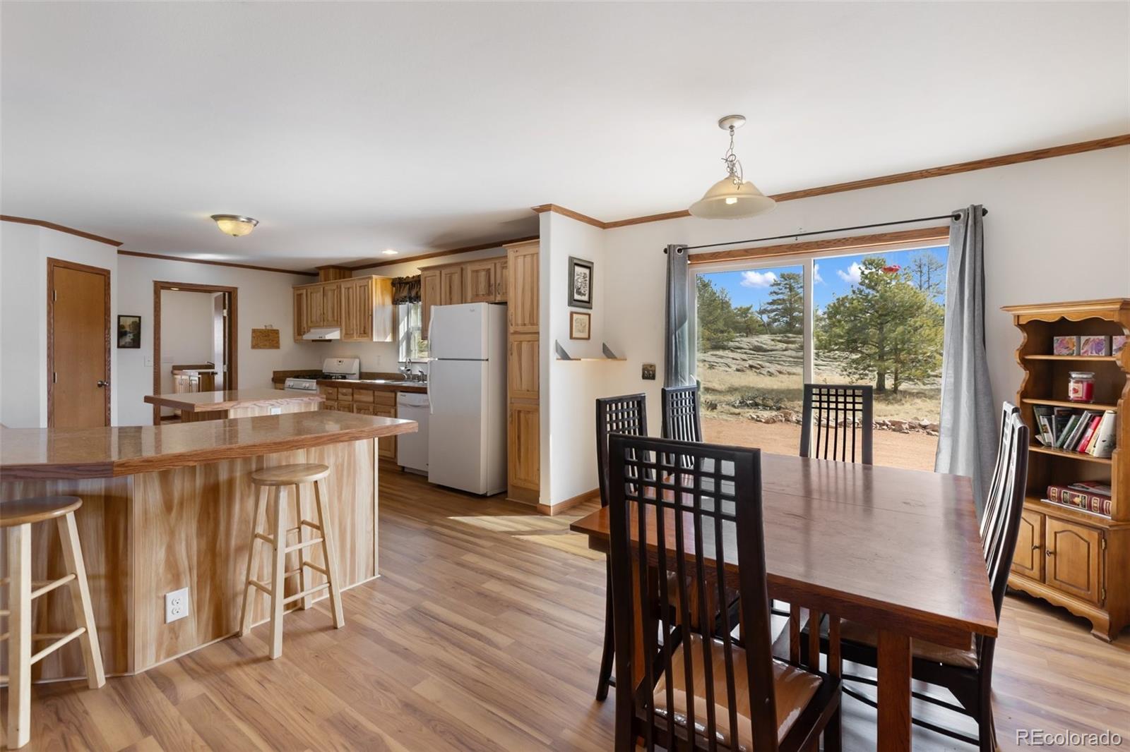 109 Pawnee Place Florissant CO 80816