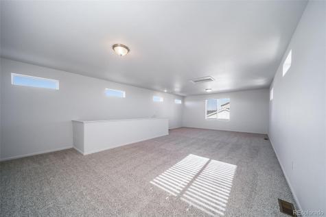46569 Sunflower Lane Bennett CO 80102