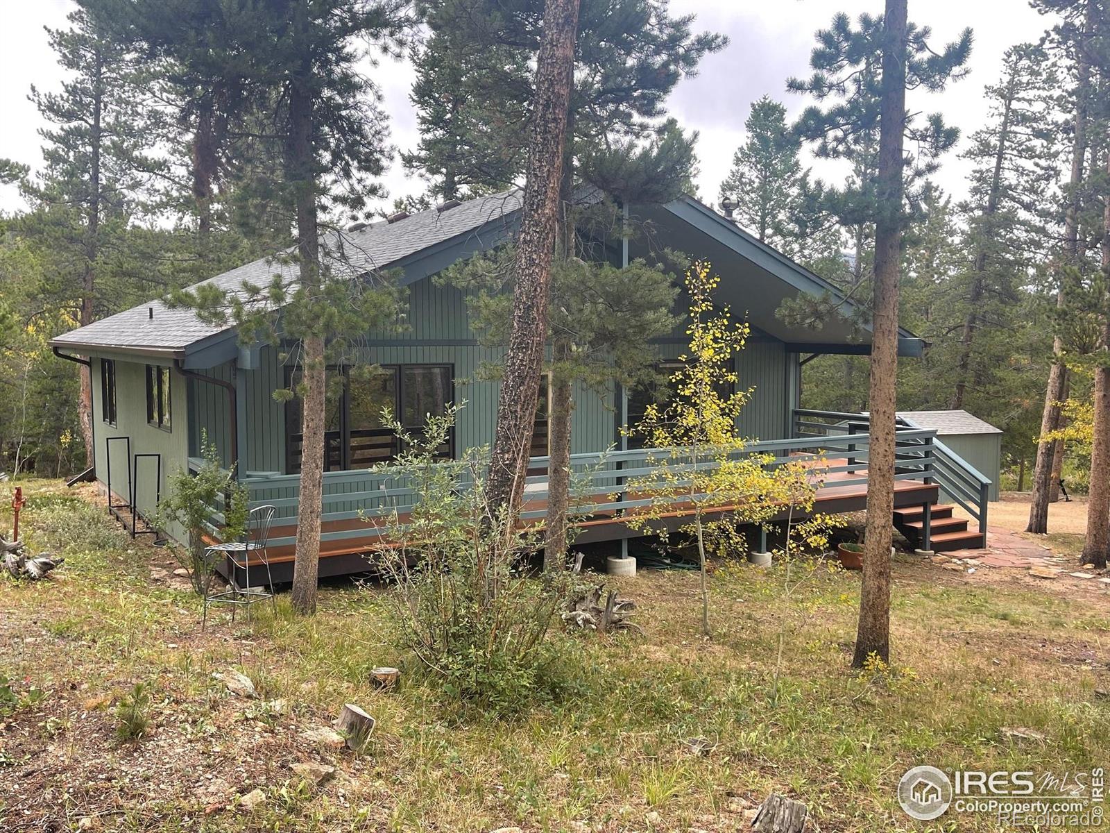 33 N Skinner Road Allenspark CO 80510