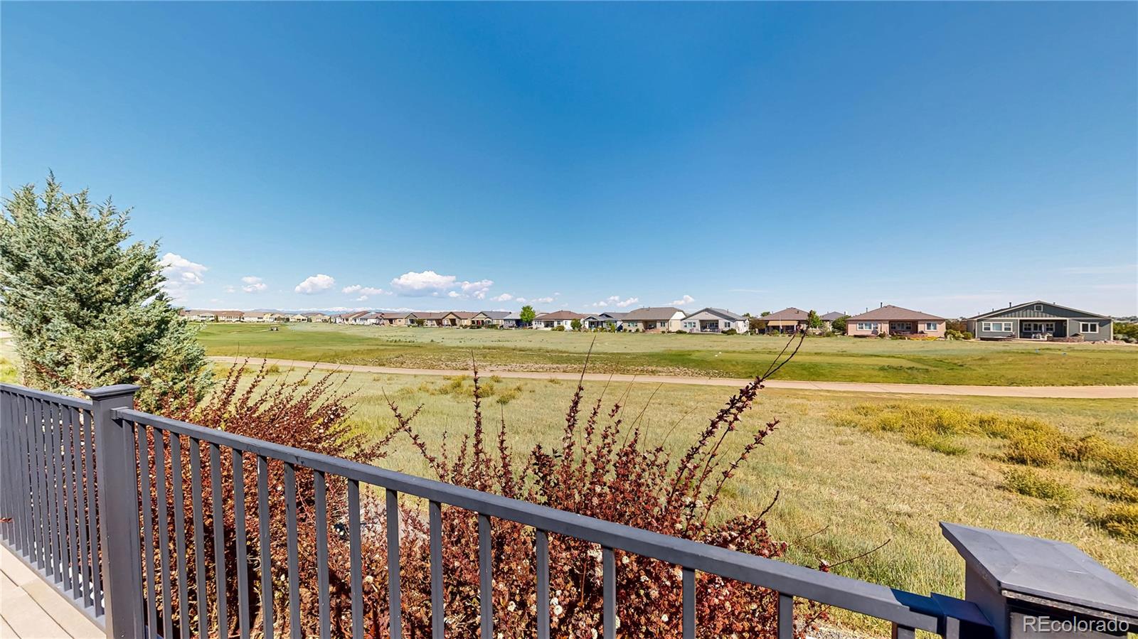 8131 E 148th Drive Thornton CO 80602
