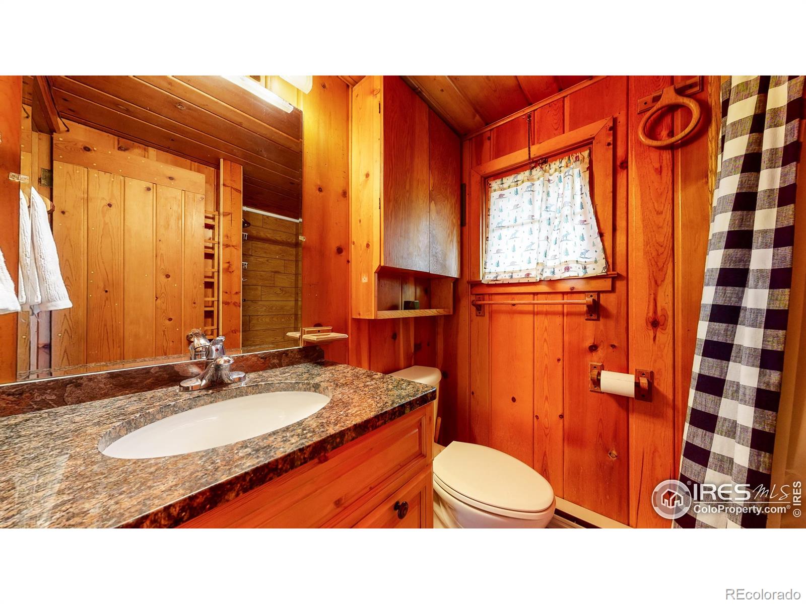 11563 Peak To Peak Drive Allenspark CO 80510