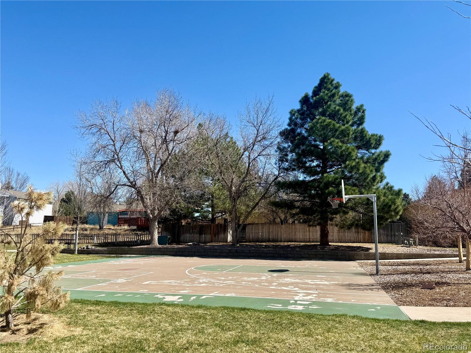 978 Oakwood Drive Castle Rock CO 80104