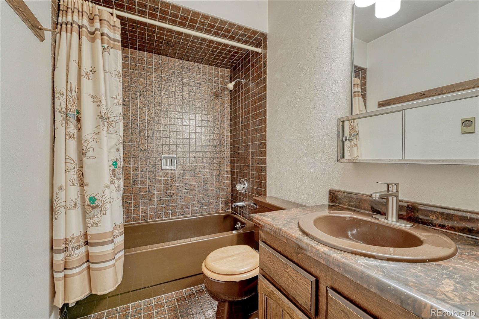 1884 Elizabeth Drive Parker CO 80138