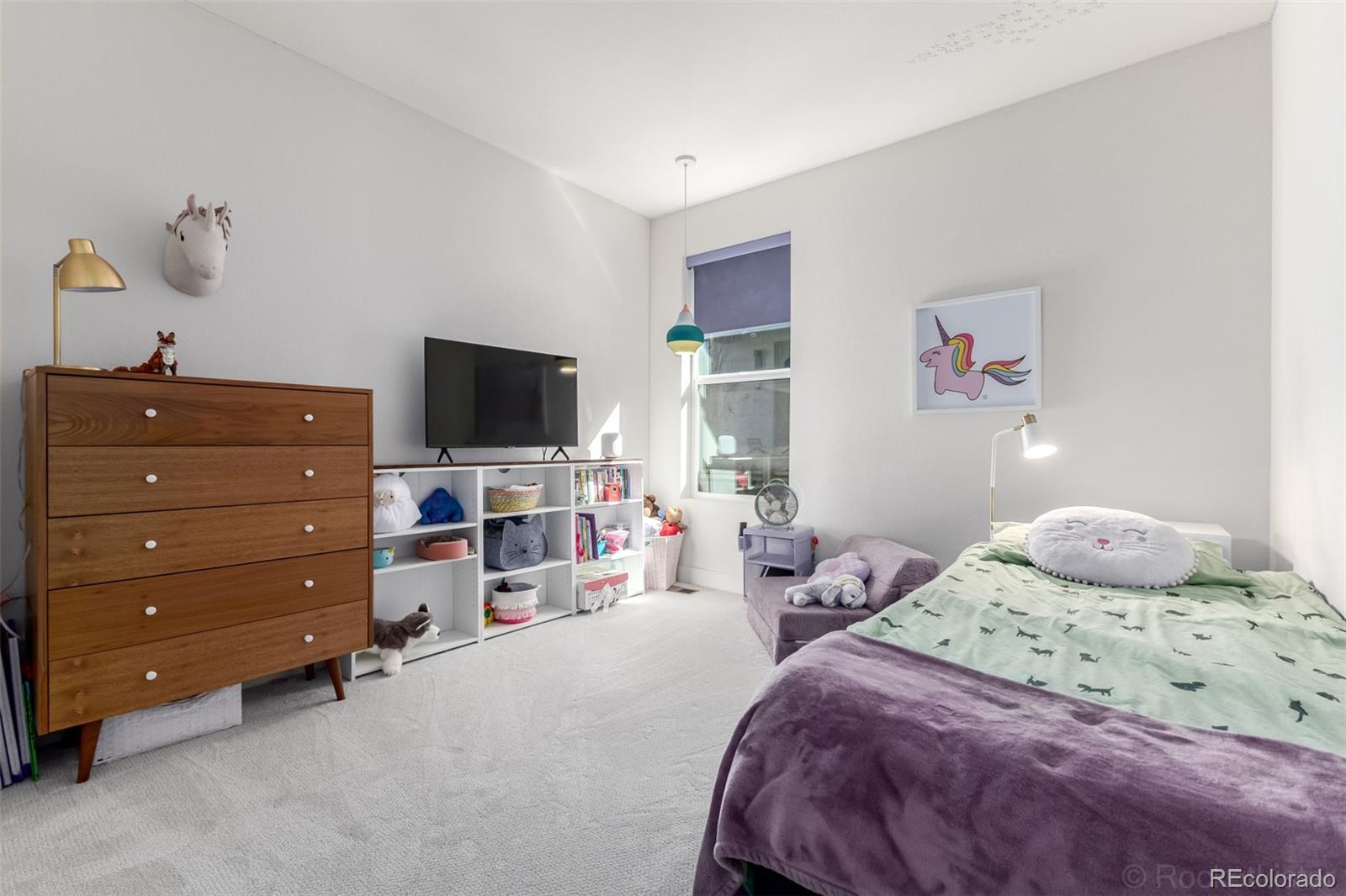10246 E 59th Place Denver CO 80238
