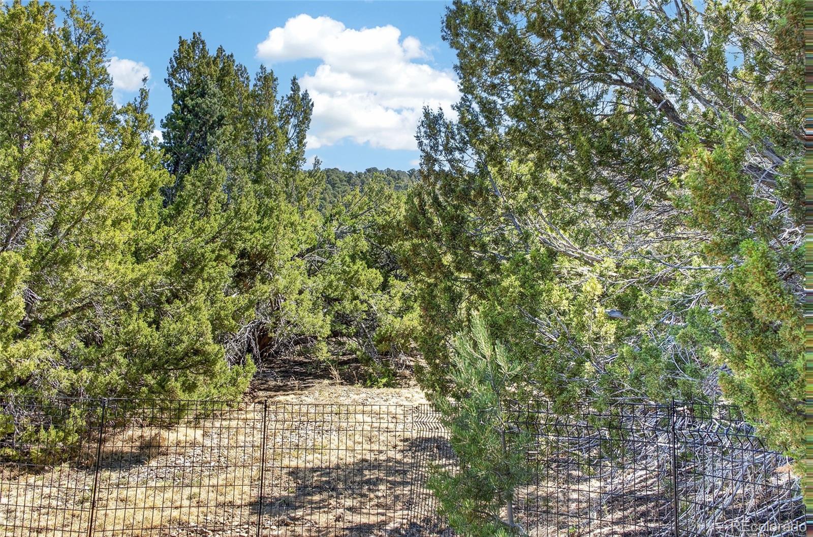 415 Riata Drive Trinidad CO 81082